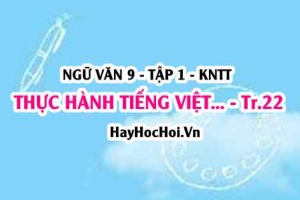 Soạn bài Thực hành tiếng Việt trang 22 Ngữ văn lớp 9 tập 1 Kết nối tri thức